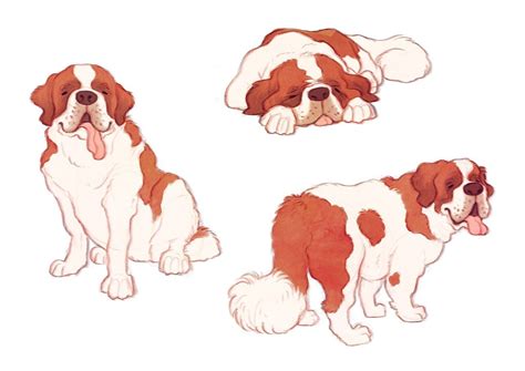 how to draw a st bernard