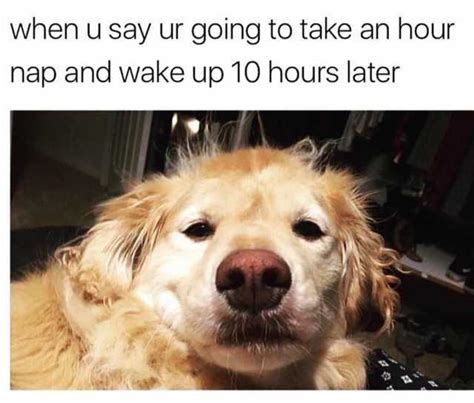 Expertens tips Sex anledningar till varför du inte kan sova