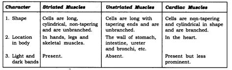 Ncert Solutions For Class 9 Science Tissues Chapter 6