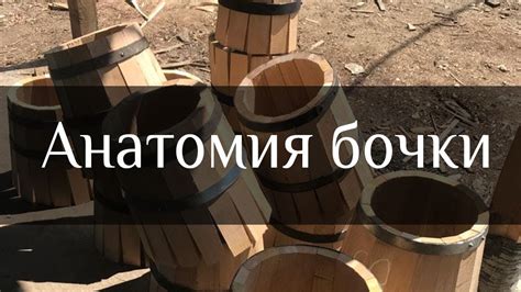 Анатомия дубовой бочки. Показываем от клепки до обруча.
