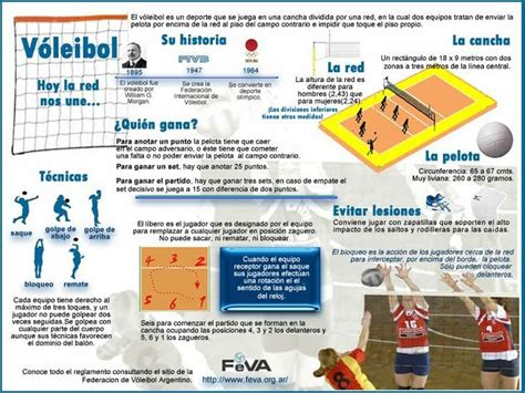 Tudo Sobre Vôleibol - Infografía de voleibol - La EDUCACIÓN FISICA en OSCUS: 1º y 2º ESO ...