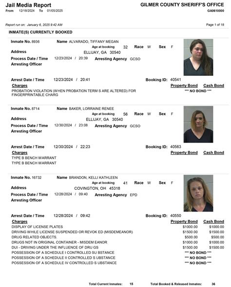 Gilmer County Sheriffs Office Arrest Report 12/18 – 1/5/2025 - GilmerGilmer