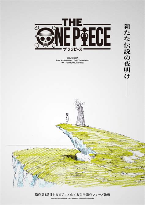 ‘One Piece’ Anime Remake Coming to Netflix | Animation World Network