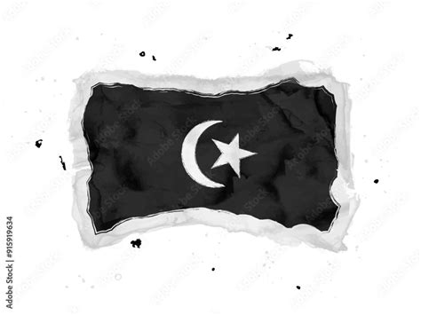 Flag Of Terengganu Brush Stroke Background Flag State Terengganu Of