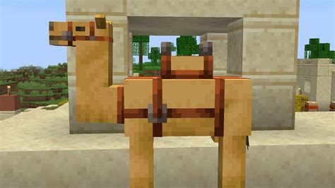 How To Ride Camel In Minecraft 1 20