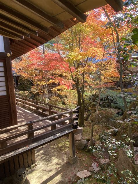 Eikando (Zenrinji Temple) | Enjoy Kyoto Night & Day