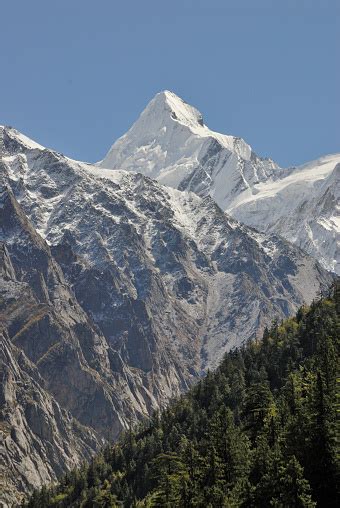 Gangotri National Park At Gangotri And Snow Capped Sudarshan Mountain ...