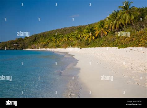 Trunk Bay Beach In The Virgin Islands National Park On The Caribbean