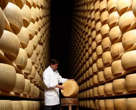 Consorzio Del Parmigiano Reggiano Caseifici Aperti 2022 Euroricette