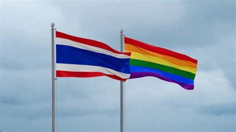 Gay Thai Vedeo Stock Video Footage Royalty Free Gay Thai Vedeo Videos Pond