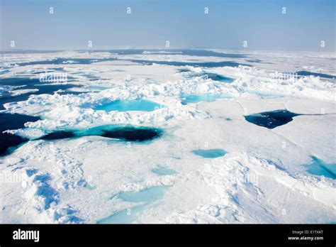 Pack Ice, Svalbard Archipelago, Norwegian Arctic Stock Photo - Alamy 