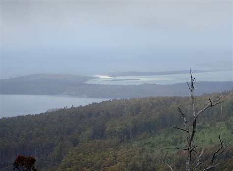 Tylers Hill | Hiking South East Tasmania