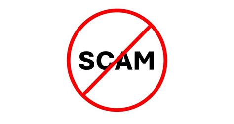 Is NuCelebs a Scam? The TRUTH Revealed - hwkhde7