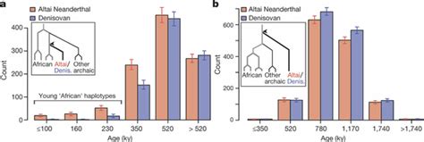 It Turns Out That Human Beings And Neanderthals Had Sex Since Older Than Expected GIGAZINE