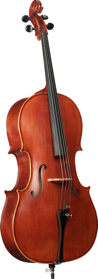 1443MP Student Cello – Hunter Musical
