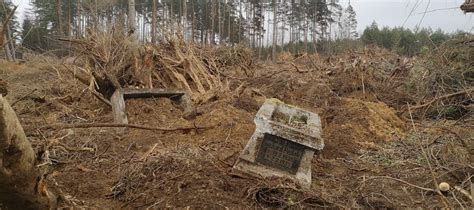 Dewastacja Cmentarza Ewangelickiego Na Wokandzie Pisz