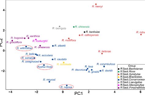 Figure From Molecular And Morphological Evidences For Hybrid Origin