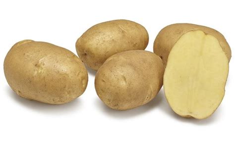 Agrico Presents Nine New Potato Varieties At Its Variety Show Potatopro