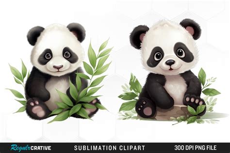 Watercolor Baby Panda Clipart