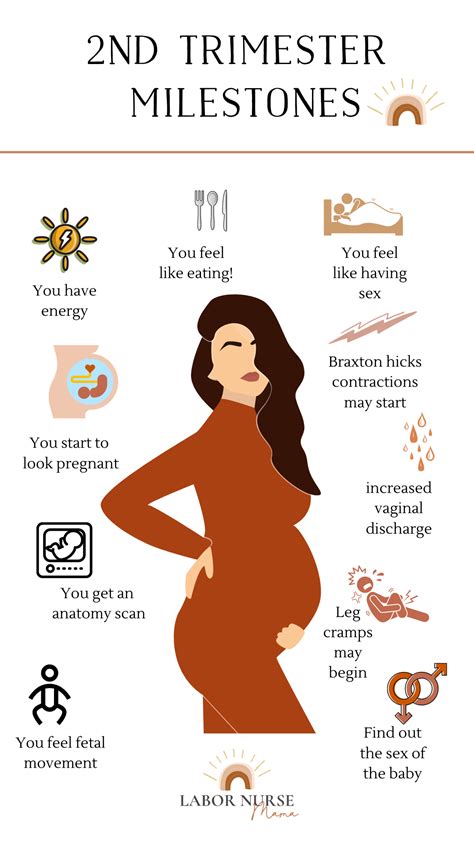 Trish Ware Rn • Pregnancy Birth And Postpartum On Instagram Ah