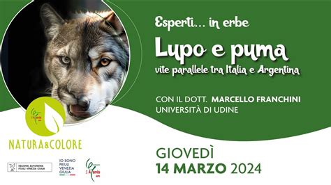 Lupo E Puma Vite Parallele Tra Italia E Argentina Esperti In Erbe