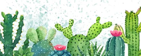 Дом творчества "ПОЛОСАТЫЙ КАКТУС" | Всем привет, я Анна Ромашкина! 2025 ...