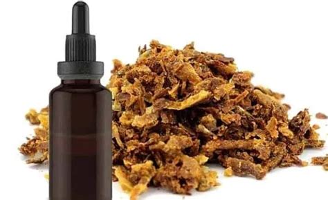 Propolis Damla Faydalar Nelerdir Fit Ve Form