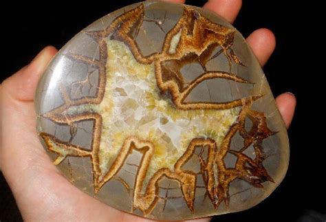 Камень Септария: магические свойства, кому подходит и значение