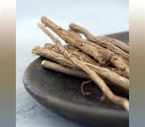 Liquorice Iran Medicinal Herb Destination Iran