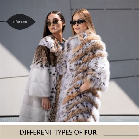 Types Of Fur Coats Fur Identification Guide Efurs