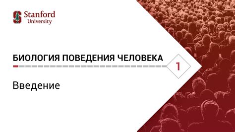 Биология поведения человека. Лекция #1. Введение [Роберт Сапольски ...