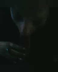 Pipa Eua Patrinia Free Porn Video F XHamster