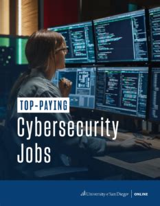 Security Architect Career & Salary Guide