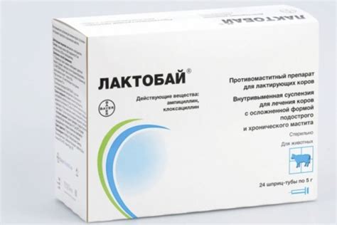 Какие препараты нужны для лечения крупного рогатого скота (КРС): от ...