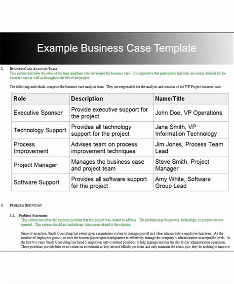 30 Business Case Study Examples | Example Document Template