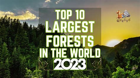 Top Largest Forests In The World In From Beauty To