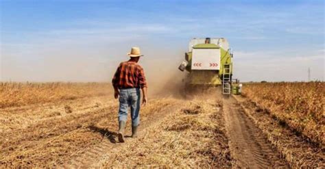 Día del Trabajador Rural por qué celebra hoy 8 de octubre