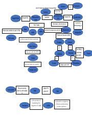 Unit 9 Concept Map Pdf Proteins Unit 9 Molecular Biology Concept Map