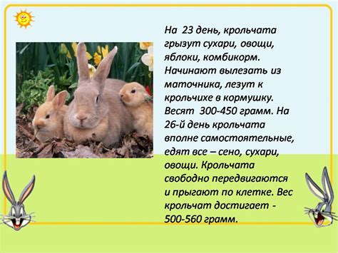 Кролики - Презентации по биологии