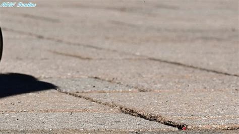 Bri Confuses Tiny For Bug MOV Amateur Soles Giantess And Footjobs Clips Sale