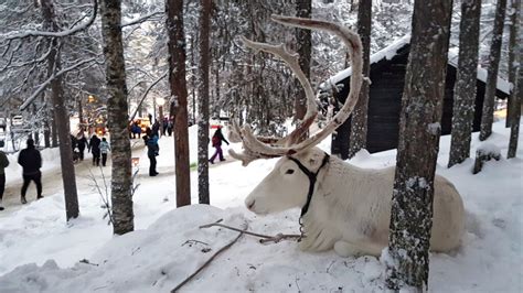 Visit Älvsbyn Nu är det jul i Älvsbyn igen