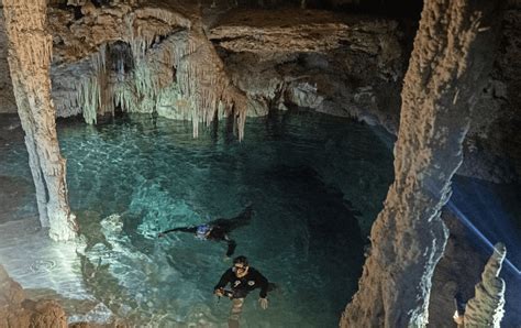 El Tren Maya Amenaza Una Joya De La Naturaleza Mexicana A Su Paso El