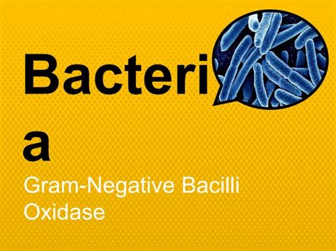 Bacteria Gram Negative Bacilli Oxidase Ppt