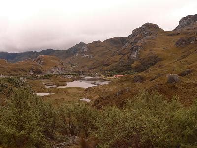 Cajas