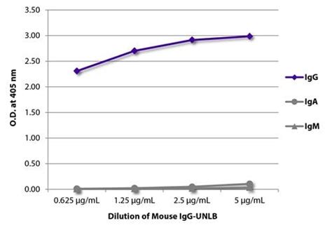 Mouse IgG Isotype Control Antibody (ab37355) | Abcam