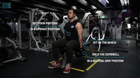 Seated Dumbbell Shrugs Short Tutorial Youtube