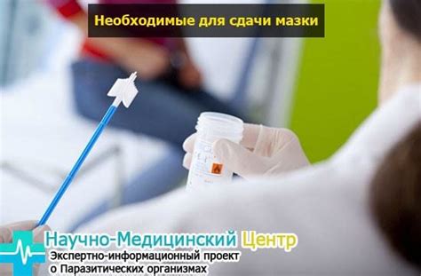 Лейкоцити в мазку, норма у жінок таблиця, причини підвищеного вмісту ...