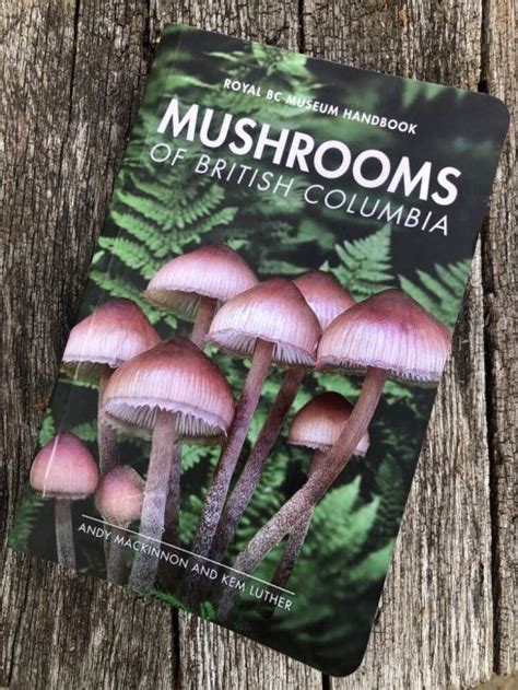 Mushroom Species, Poisonous Mushrooms, Colonists, Field Guide, Ethereal