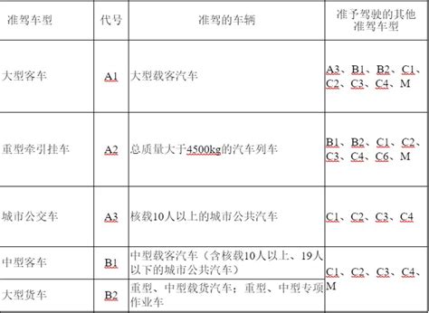 驾驶证分几种型号分别开什么车 有驾