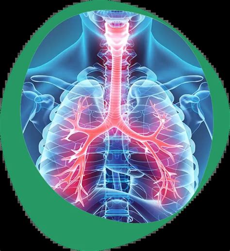 respiratory formulations aston particle technologies